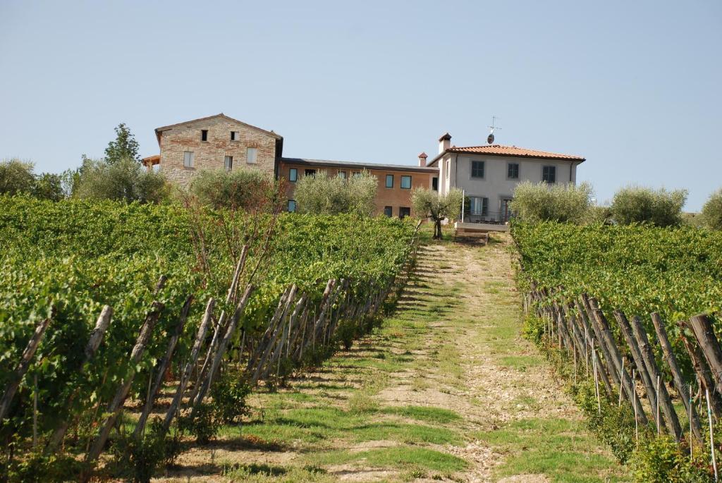 Roccafiore Wine Resort & Spa Todi Exterior foto